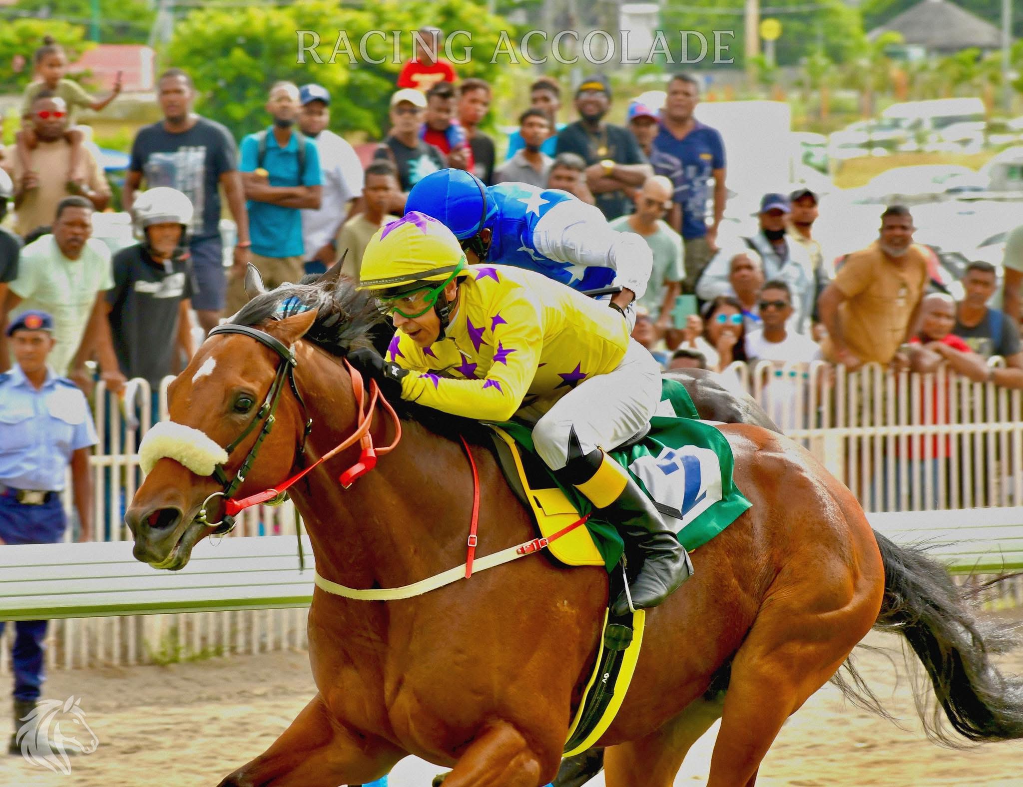 Horse race action for premium subscription