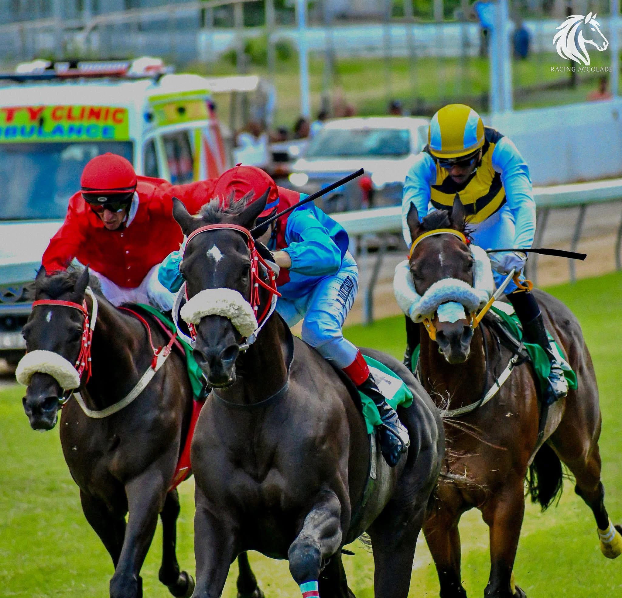 Live horse race action